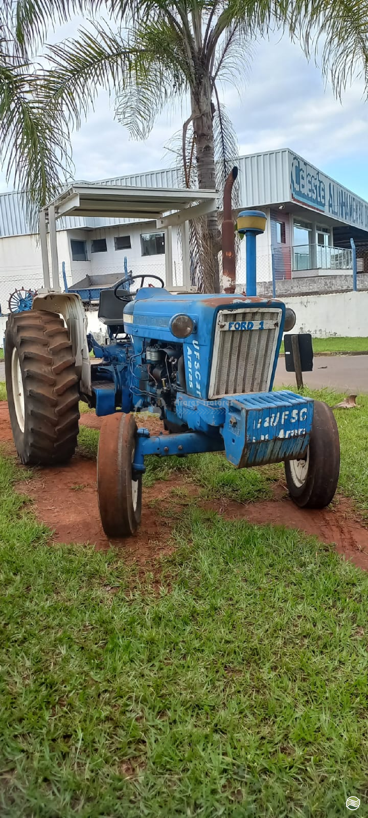 TRATOR FORD FORD 6600 Tração 4x2 Araras Tratores ARARAS SÃO PAULO SP